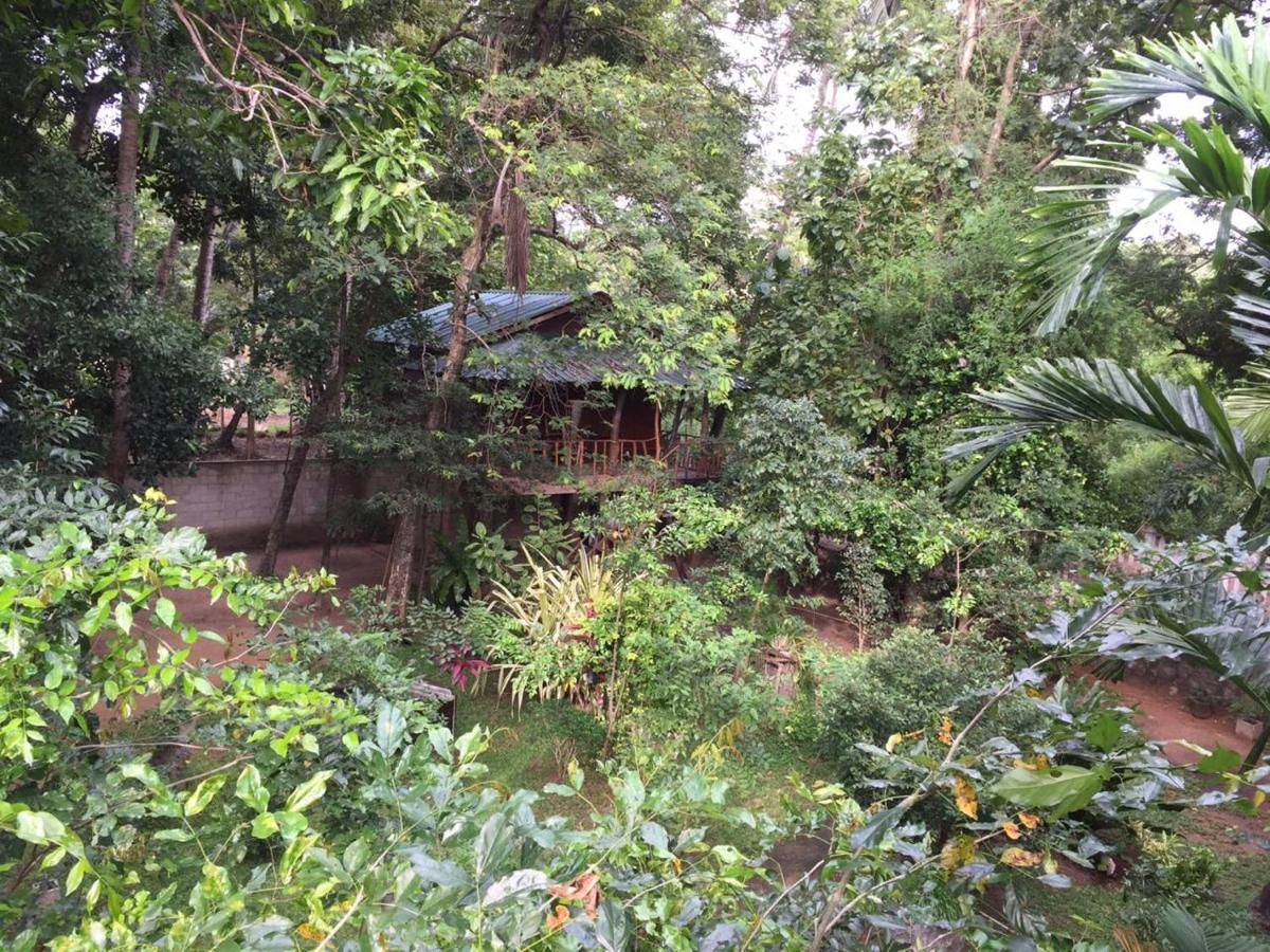 Hotel Dambulla Wilderness World Exterior foto