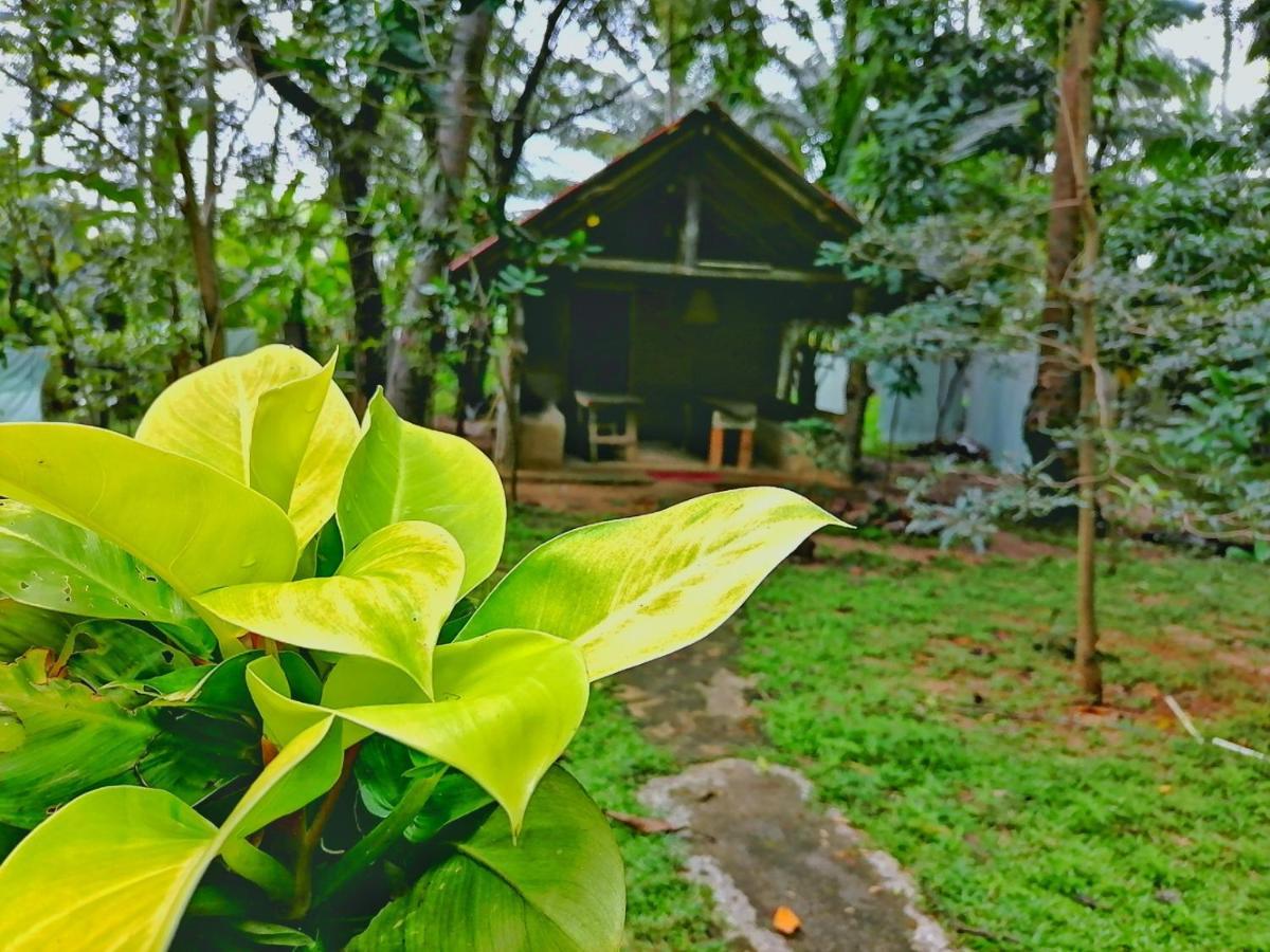 Hotel Dambulla Wilderness World Exterior foto